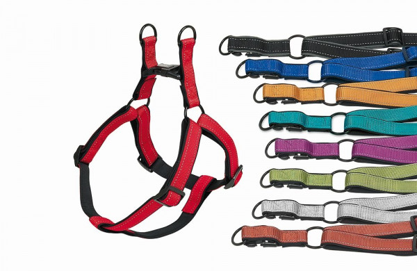 Harness "Classic Reflect SOFT"