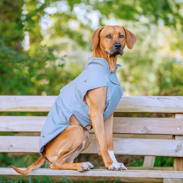 „SELA“ Hundemantel