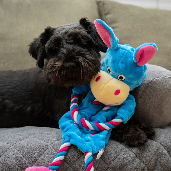 Plüschtier mit Seil