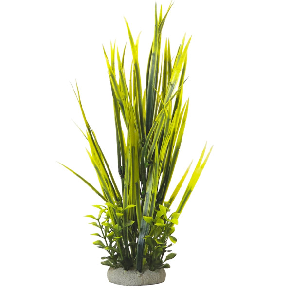 Aqua Ornaments "VALLISNERIA"