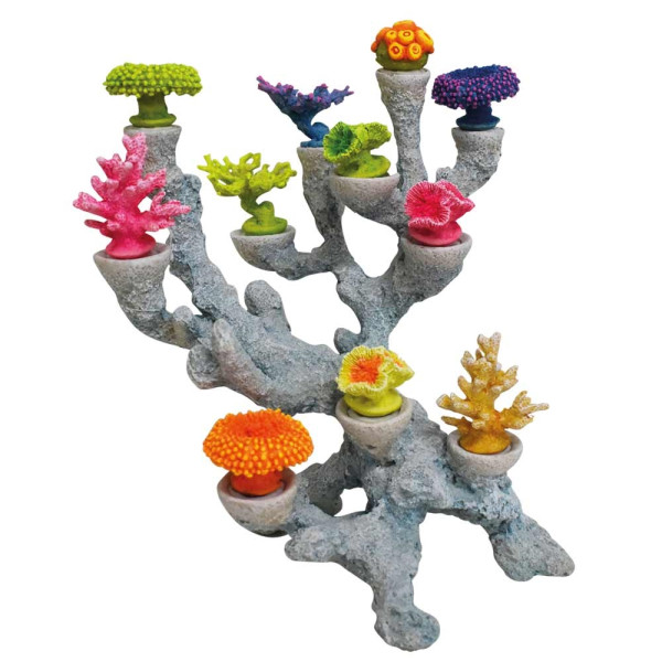 Aqua Ornaments 'Corals', heads interchangeable