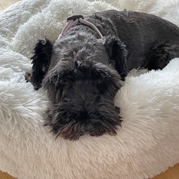 Kuschelbett Donut "ESLA"