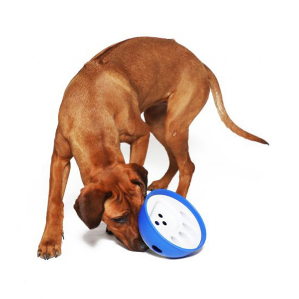 Beschäftigungsnapf "Kick ´N Feed"