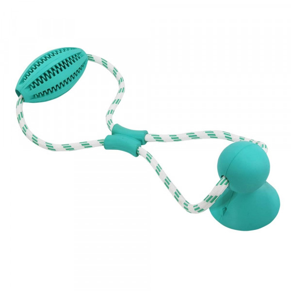 Solid rubber toy
with mint flavour