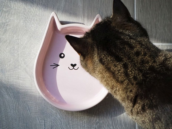 Ceramic cat dish "Kitty Face"