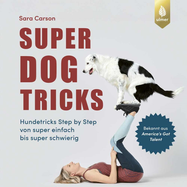 Super Dogs Tricks