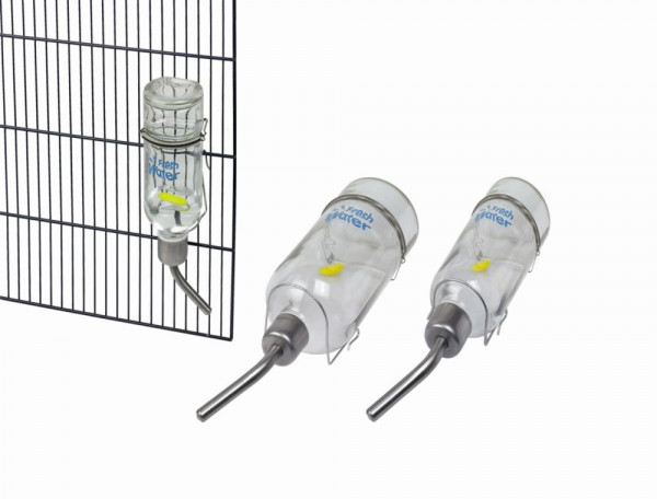 Glass drinking bottle