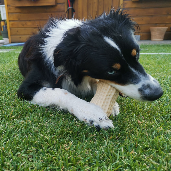 Display TPR Toy "Peanut"