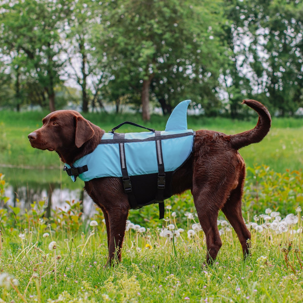 Schwimmhilfe "Sharki"
