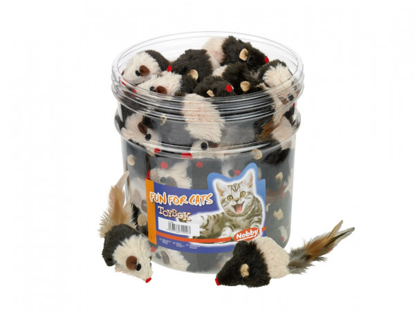 Toy Box Katze