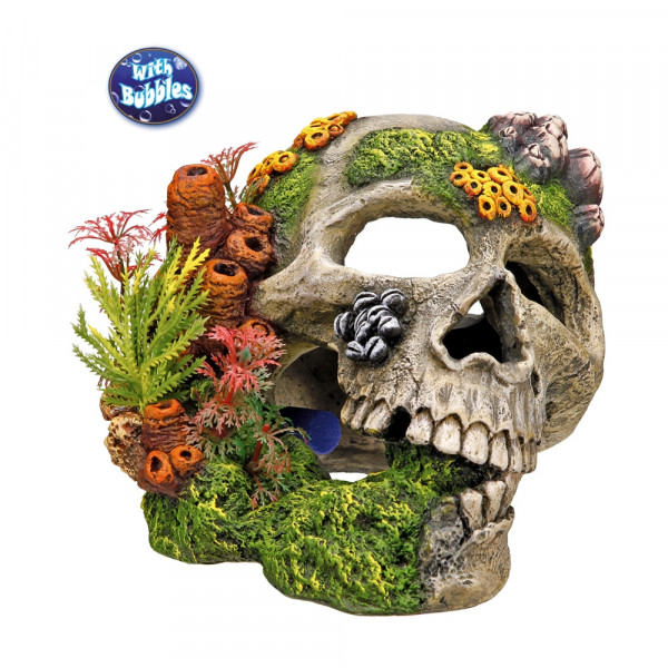 Aqua Ornaments "SKULL" with plants