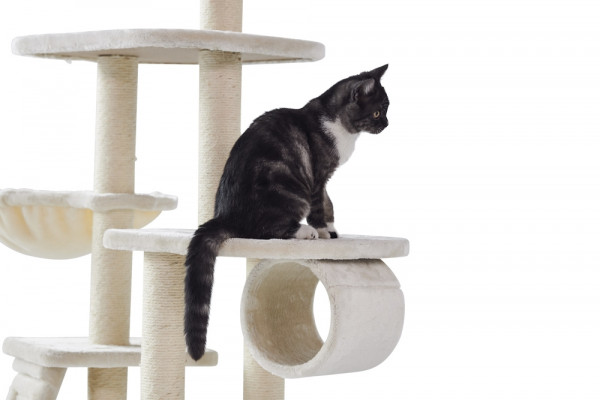 Cat-scratcher Classic "DILAN"