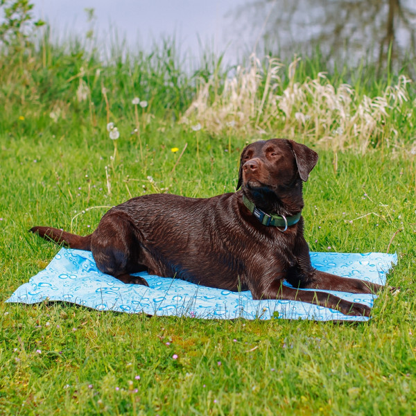 Nobby Cooling mat "Bubble"