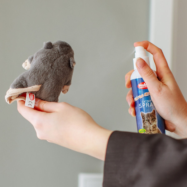 Catnip spray