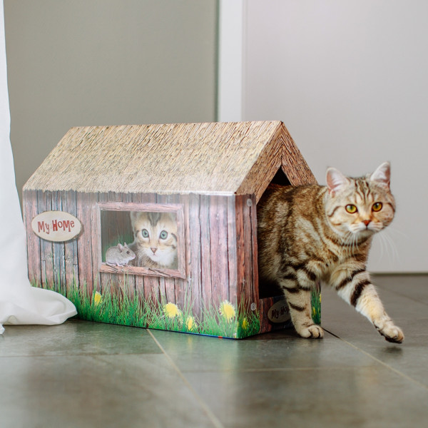 Katzenhaus aus Karton