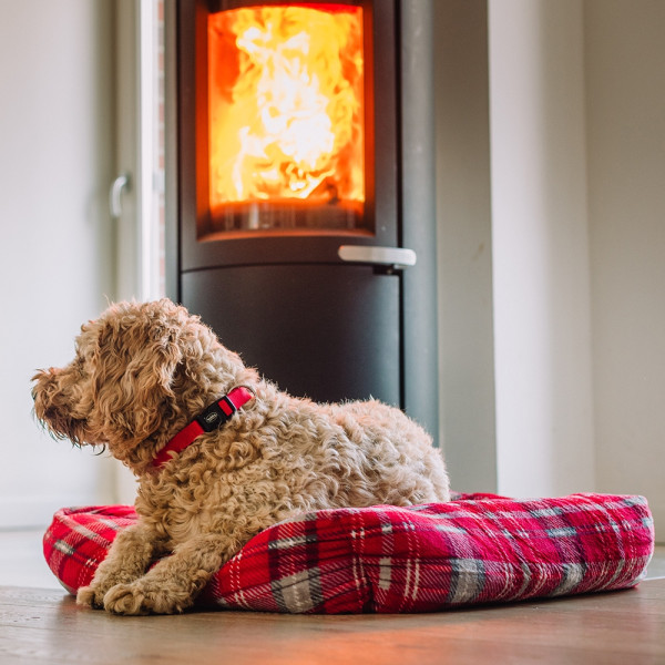 XMAS Komfort Bett eckig "KARELI"