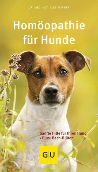 Homöopathie für Hunde