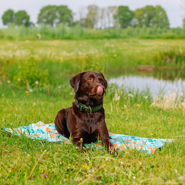 Nobby Cooling Mat "Flower"