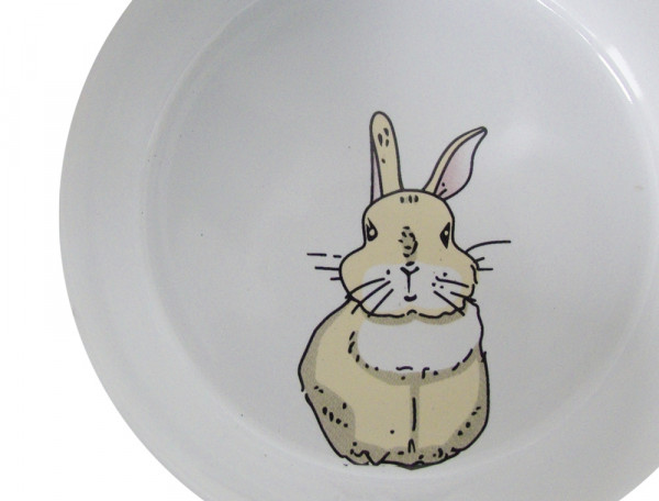 Rodent Ceramic bowl "Rabbit"