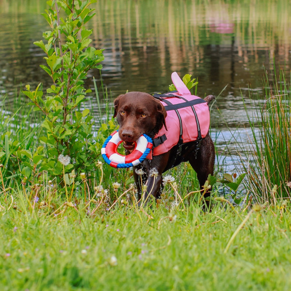 Schwimmhilfe "Sharki"