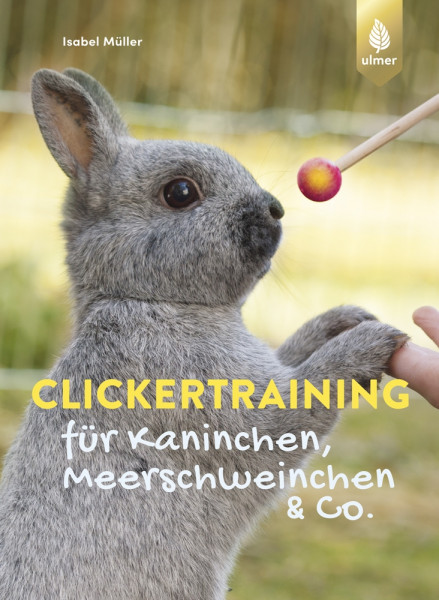 Clickertraining für Kaninchen