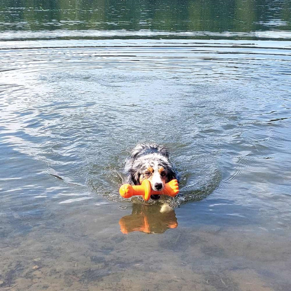 TPR buoy ‘Robbi’