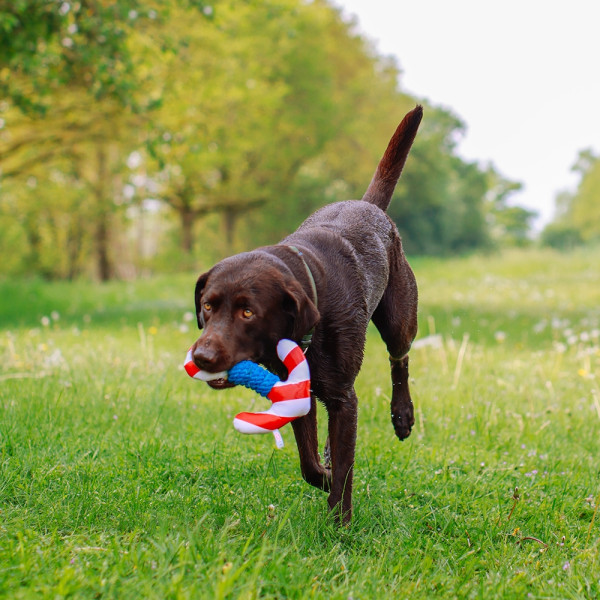 Floating toy with rope