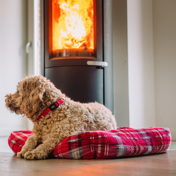 XMAS Komfort Bett eckig "KARELI"