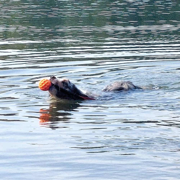 TPR ball ‘Wafer’ with elasticated loop