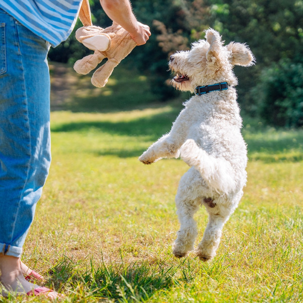 Plush bunny with rope inside