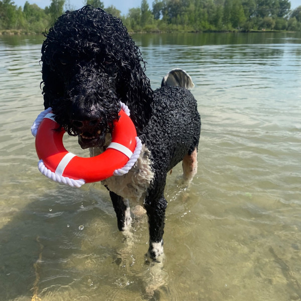 TPR lifebuoy with rope