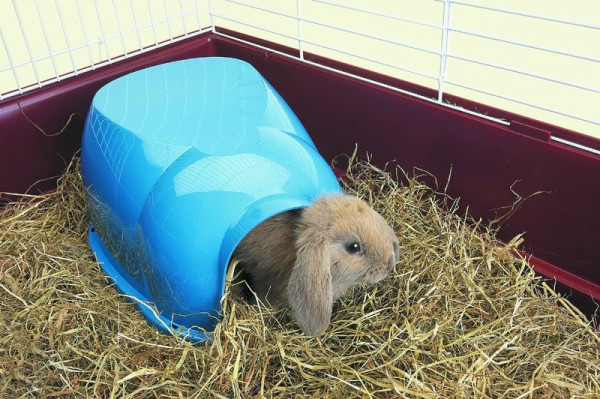 Nagerhaus "Cocoon"