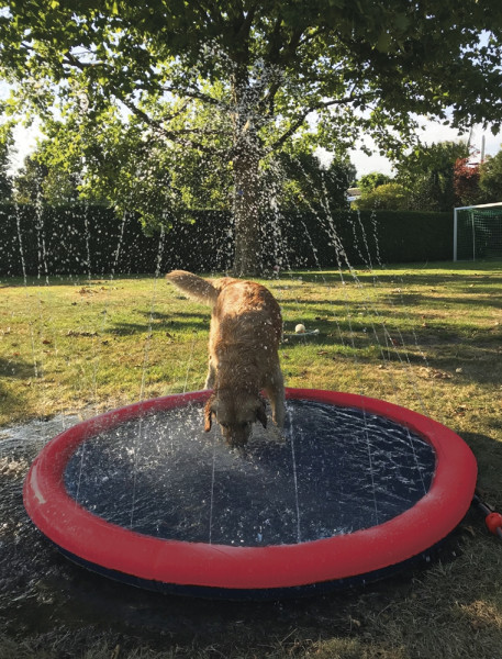 Splash Pool