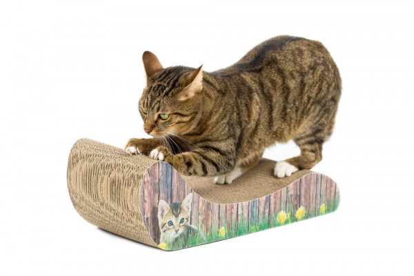 Nobby Kratzbrett "Lounge"