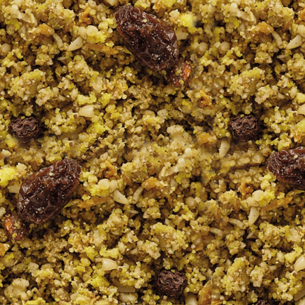 NutriBird Gold patee large parakeets and parrots