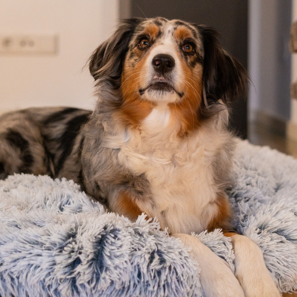 Komfortbett Donut "Seda"