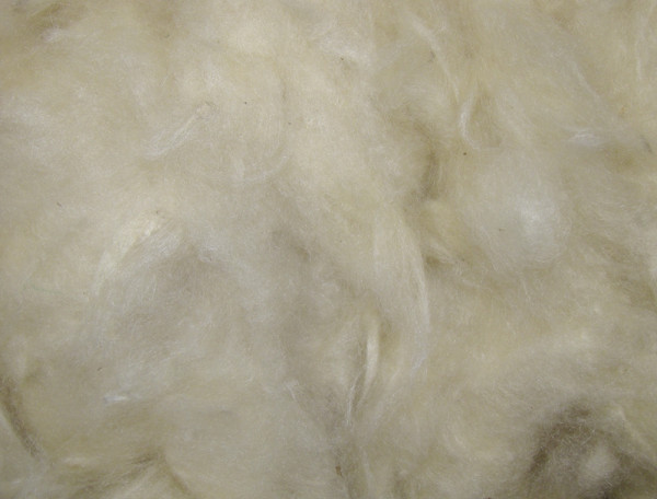 Kapok wool