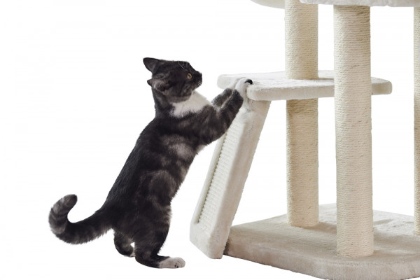 Cat-scratcher Classic "DILAN"