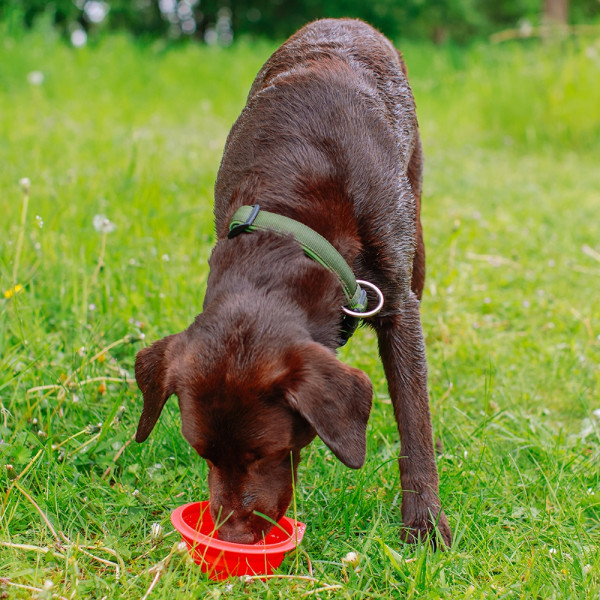 Silikon Napf, faltbar