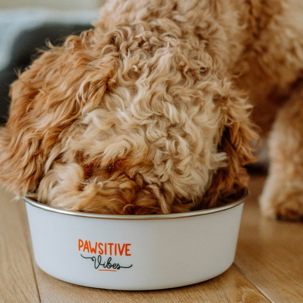 „Pawsitive Vibes“ Napf