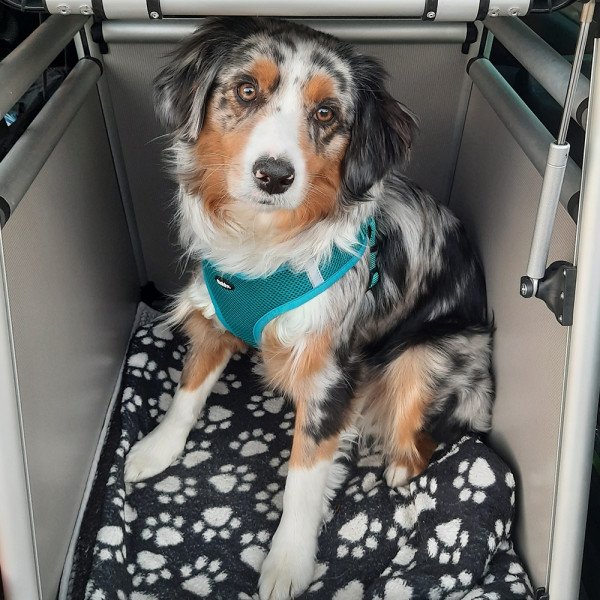 Aluminium car traveller box "ROUND CORNER"