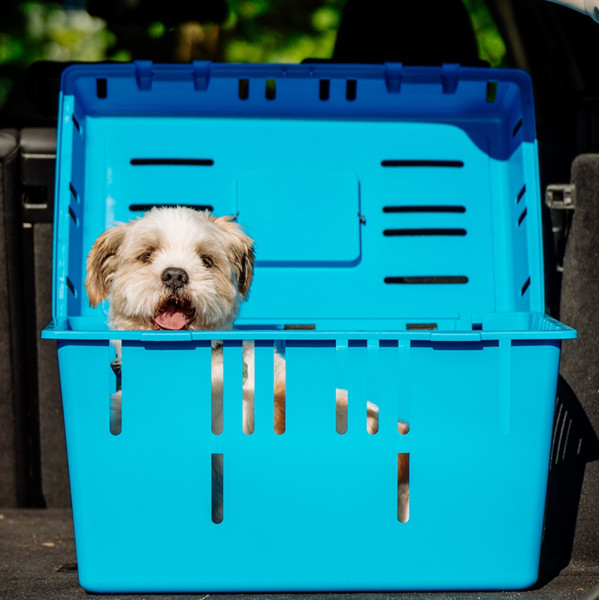 Transportbox Pet Caddy 2