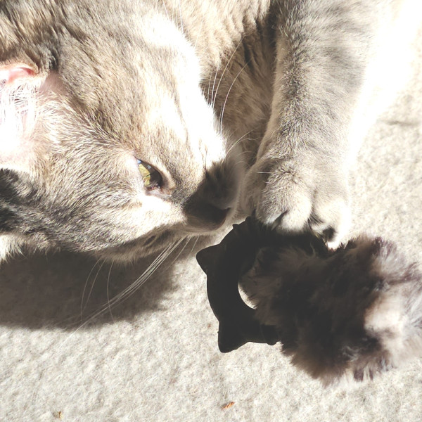Spielzeug
mit Catnip-Ring