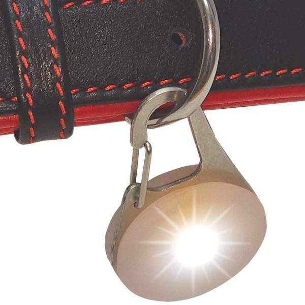 Leuchtanhänger "Light"