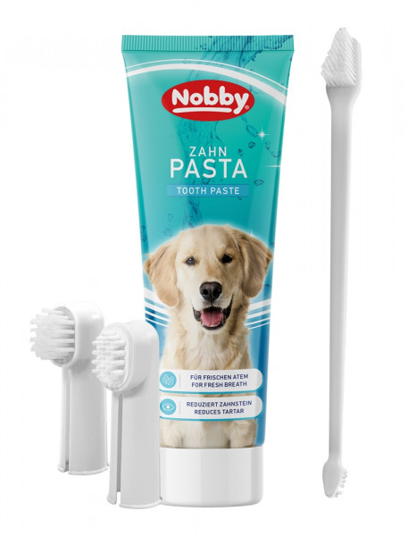Toothbrush set with toothpaste