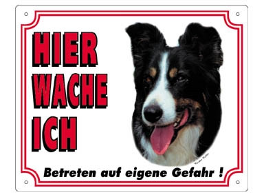 Warntafel Border Collie