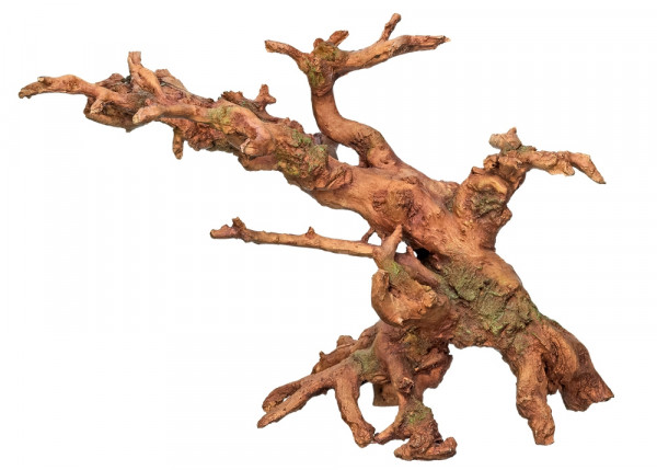 Aqua Ornaments "Root"