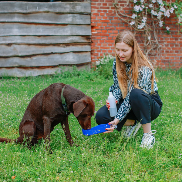 Reise-Trinkwasserflasche