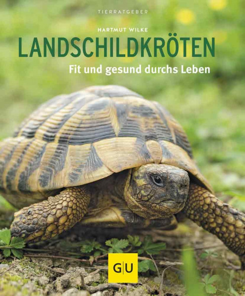 Landschildkröten, glücklich & gesund