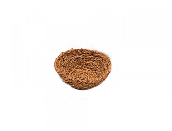 Nesteinleger Cocos